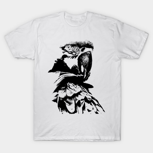 Parakeet t-shirt T-Shirt by hottehue